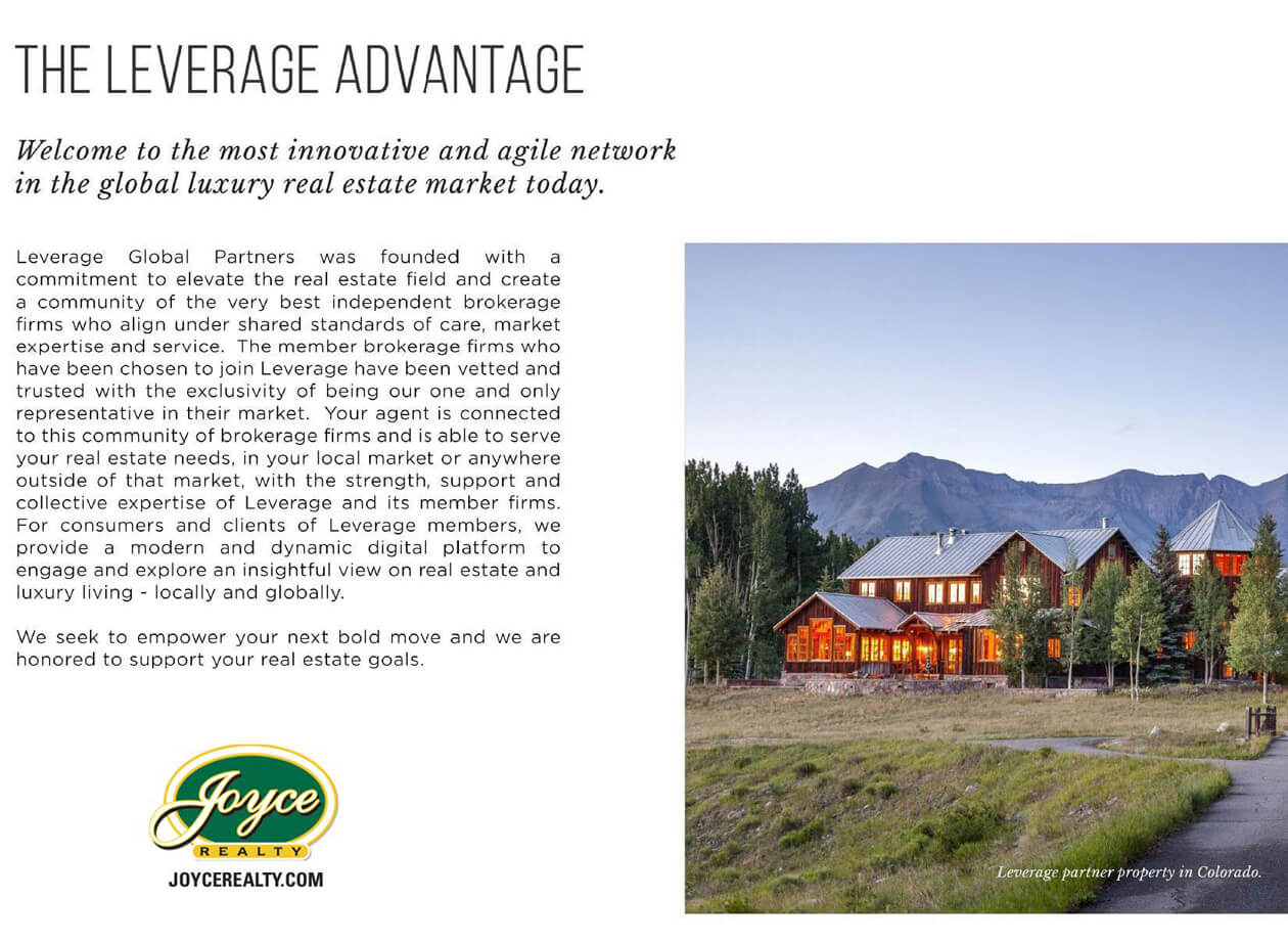 Leverage Advantage photo