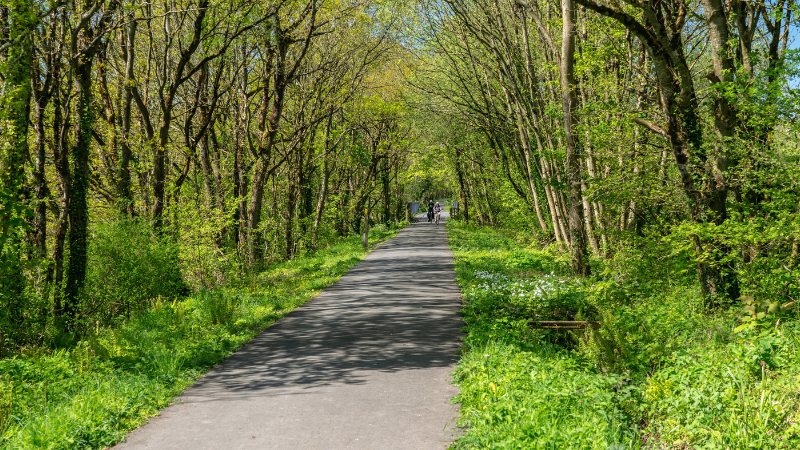 6 Rail Trails to Bike on Around the Hudson Valley | Joyce Realty