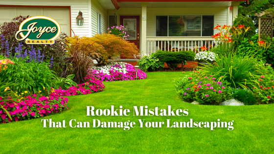 You may be trying too hard and sabotaging your yard in the process. Here's how to avoid the most common landscaping mistakes.