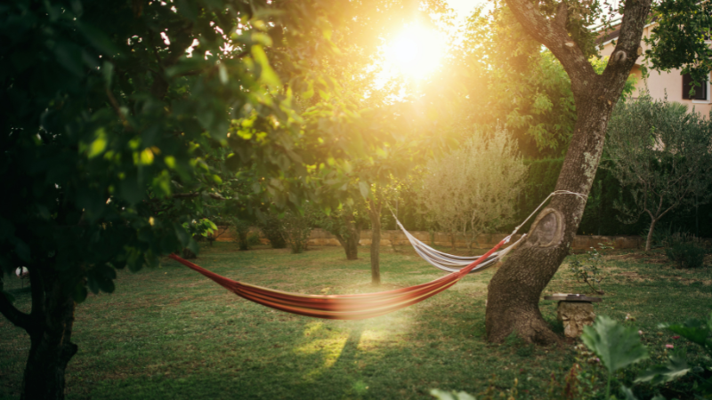 Perfect Setup on National Hammock Day | Joyce Realty