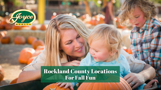 Enjoy the changing colors of the leaves with these Rockland County local attractions.