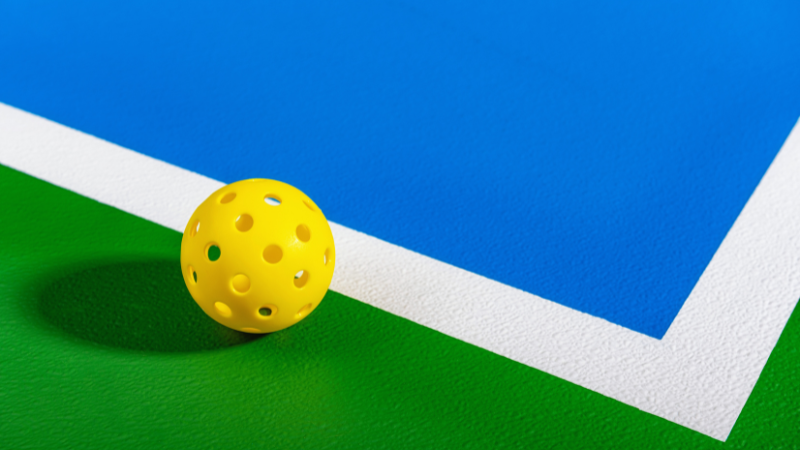 Rockland County: Pickleball Is Calling Your Name | Joyce Realty