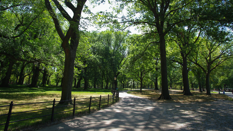 Running Routes Around New York County | Joyce Realty 