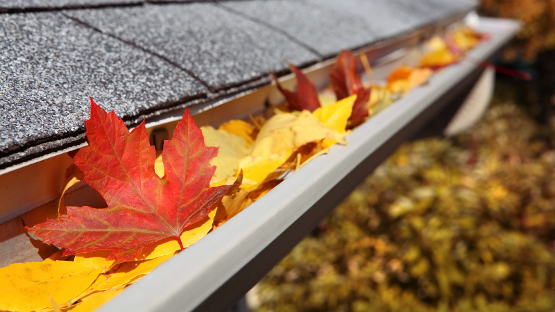 Simple Outdoor Jobs to Tackle in the Fall | Joyce Realty